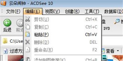 ACDSee里粘贴功能使用操作介绍截图