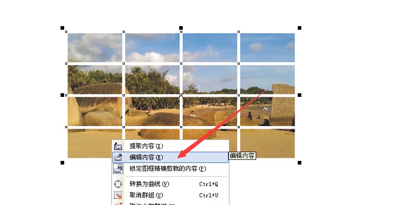 cdr制作网状图片的图文操作截图