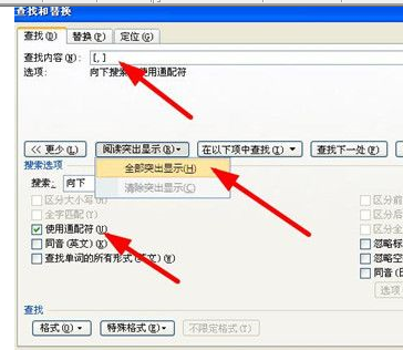 word2007批量替换标点符号的详细操作截图