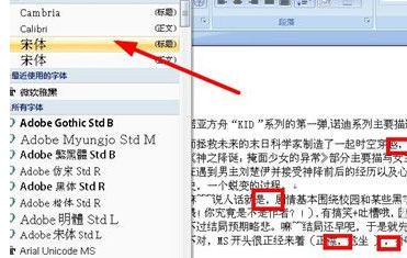 word2007批量替换标点符号的详细操作截图