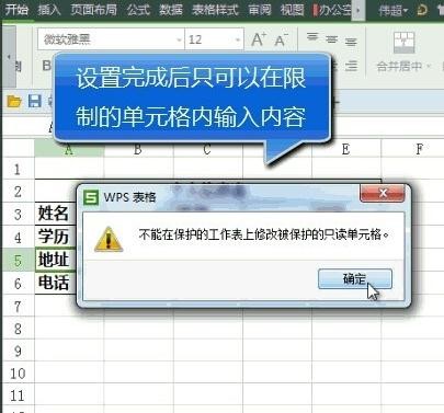 WPS设置表格更改权限的操作流程截图