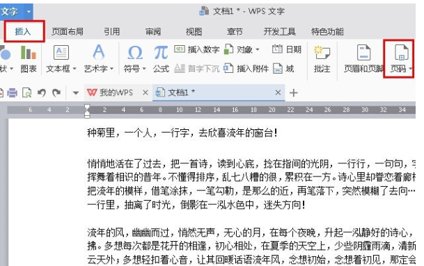 WPS设置起始页的操作流程截图