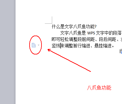 wps使用八爪鱼功能的详细操作截图