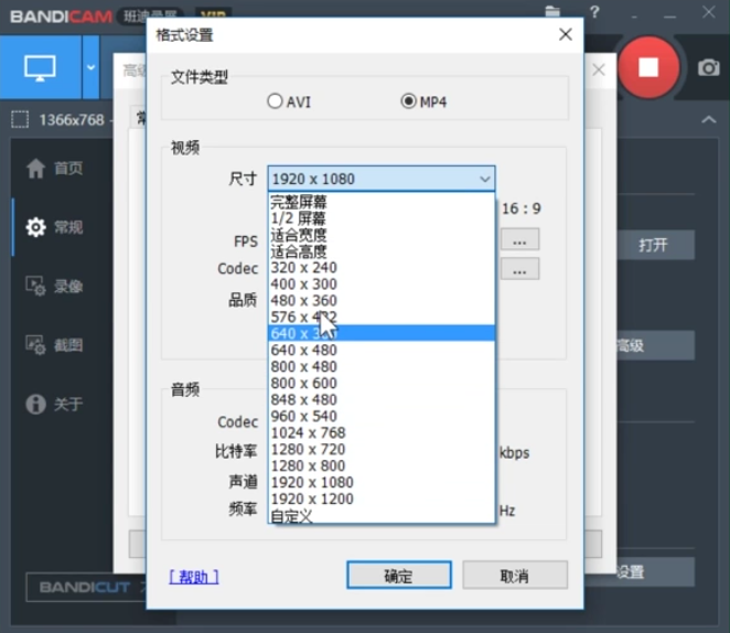 Bandicam设置录制视频尺寸的操作教程截图