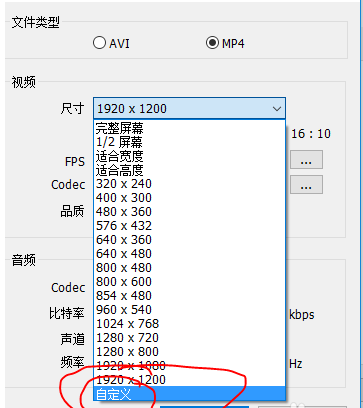 Bandicam的详细使用操作讲解截图