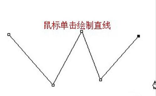 ps使用钢笔工具的详细操作截图