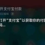 支付宝语音付款上线，只有iphone用户才能享受