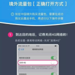 支付宝境外流量包正确使用方法，一定要关闭4G