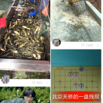 快手中不喜欢的视频可屏蔽，就这么简单