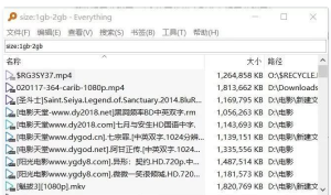 我来分享我来教你一些关于Everything的使用技巧，帮助更快搜索文件。