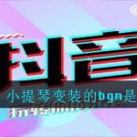 分享抖音上小提琴变装的bgm是什么。