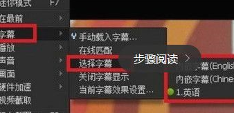 迅雷看看加载字幕的使用教程截图