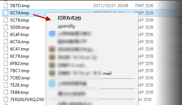 tmp文件怎么打开？win10打开tmp文件的方法(1)