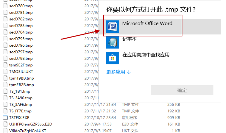 tmp文件怎么打开？win10打开tmp文件的方法(4)