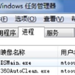 dsmain.exe是什么进程。