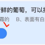 小鸡庄园答题5月16日最新答案 蚂蚁庄园小鸡答题2.17