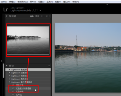 lightroom中使用预设的详细操作教程截图