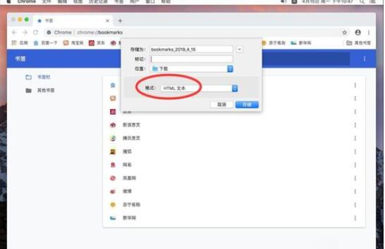 谷歌浏览器Mac版导出书签的操作流程截图