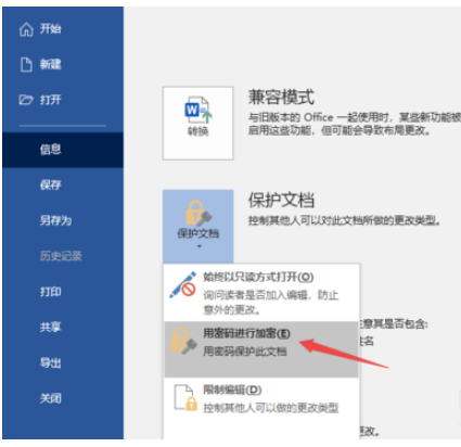 Word2019设置文档保护的操作步骤截图