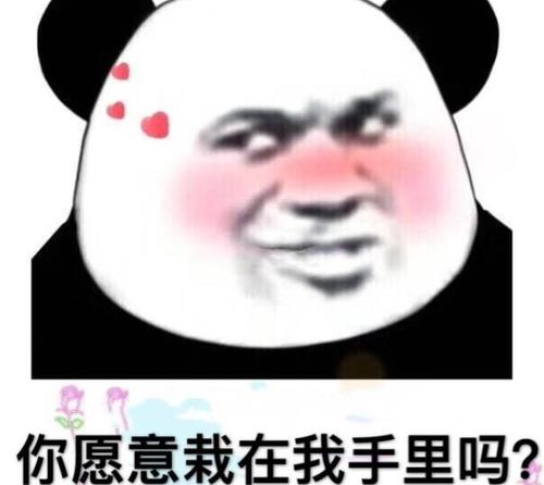 2021314是什么梗。