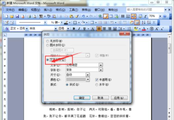 word2003文档添加水印的方法介绍截图