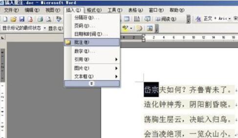 word2003中插入批注的方法截图