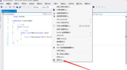 Visual Studio 2005(VS2005)中字体大小调整方法截图