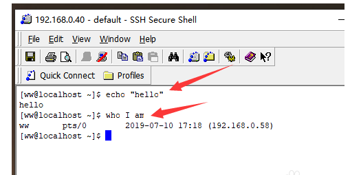 SSH Secure Shell Client登录远程电脑的操作教程截图