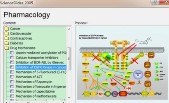 ScienceSlides设计药物信号通路图的步骤截图