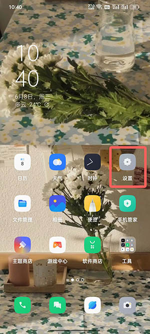 coloros12如何打开开发者模式