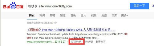 torrentkitty打不开的操作方法截图