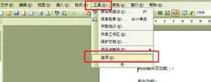 word2003文档设置密码保护的操作方法截图