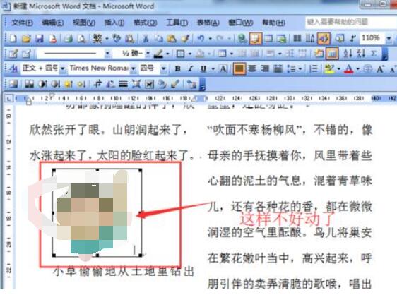 word2003中防止图片移动的设置方法截图