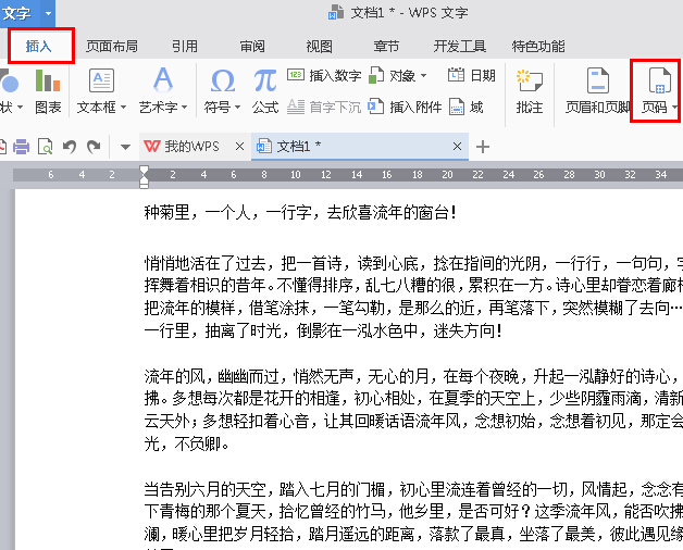 WPS Office 2016将指定页数设置为起始页的步骤截图