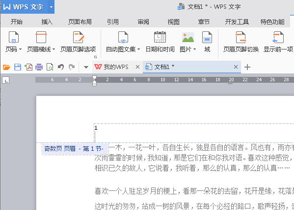 WPS Office 2016将指定页数设置为起始页的步骤截图