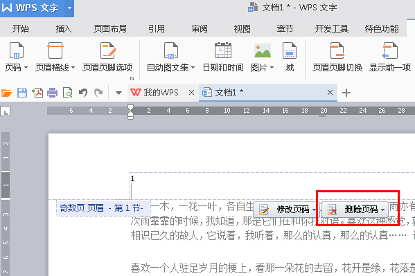 WPS Office 2016将指定页数设置为起始页的步骤截图