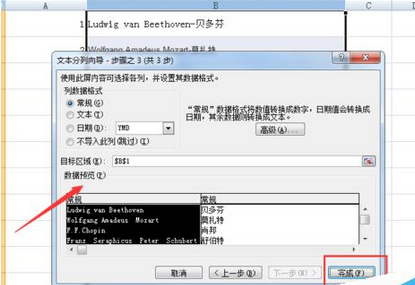 excel2007将数据分列整理的操作教程截图