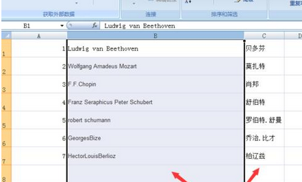 excel2007将数据分列整理的操作教程截图