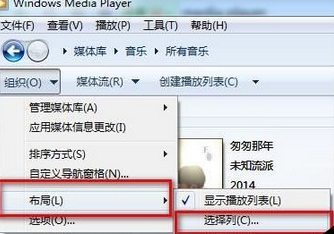 Windows Media Player中歌曲内容的了解方法步骤截图