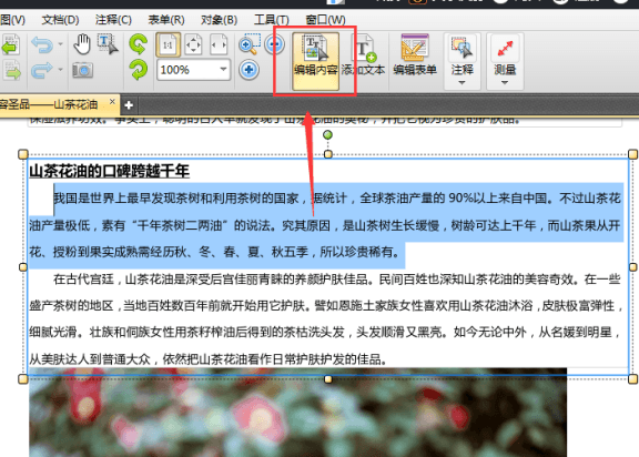 迅捷pdf编辑器给文字加粗的操作方法截图