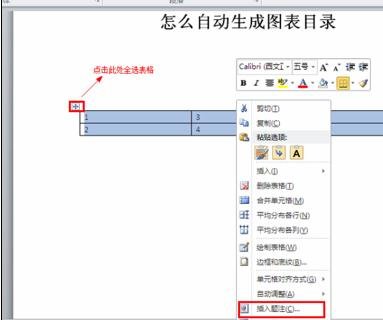 Word 2010设置自动生成图表目录的方法步骤截图