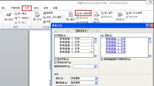 Word 2010设置自动生成图表目录的方法步骤截图