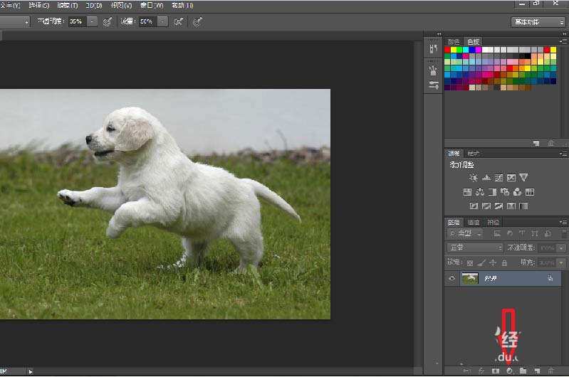 photoshop cs6给图片添加彩色渐变效果的操作方法截图