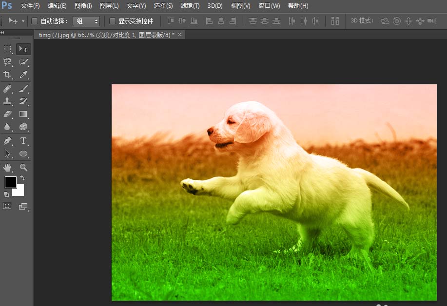 photoshop cs6给图片添加彩色渐变效果的操作方法截图