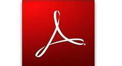 Adobe Reader XI中设置辅助工具的操作步骤