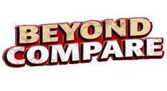 关于Beyond Compare比较Java源代码文件的详细操作方法 关于北面高仿衣服哪里买安哪里有