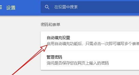 谷歌浏览器设置密码以及表单自动填充的操作步骤截图