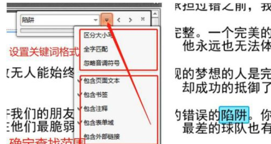 迅捷pdf编辑器搜索关键字的详细流程介绍截图