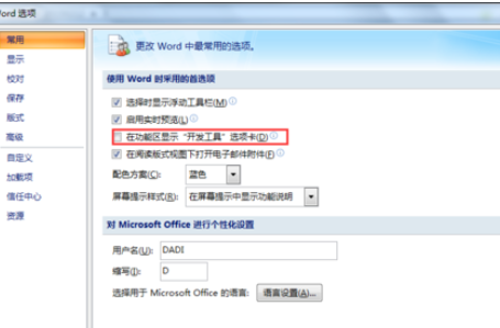 office2007添加开发工具选项卡的操作教程截图