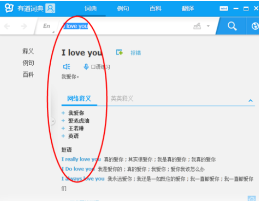 有道词典翻译单词或句子的相关操作方法截图